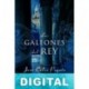 Los galeones del rey José Calvo Poyato