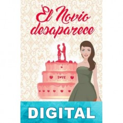 El novio desaparece Amy Andersen