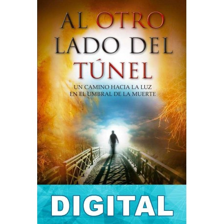 Al otro lado del túnel José Miguel Gaona