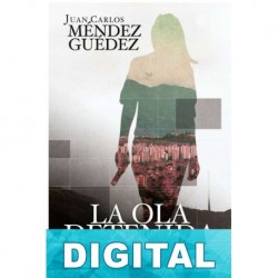 La ola detenida Juan Carlos Méndez Guédez