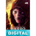 Hierro fatuo Ana Katzen