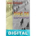 Días de llamas Juan Iturralde