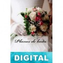 Planes de boda Julianne Austin