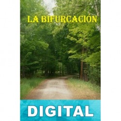 La bifurcación Abu Bakr Gallego