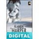 Tras la tormenta Karen Harper