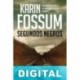 Segundos negros Karin Fossum