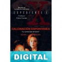 Calcinación espontánea Kevin J. Anderson