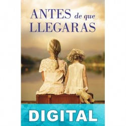 Antes de que llegaras Lisa Wingate