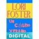 Un cálido verano Lori Foster