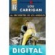 Al encuentro de los ángeles (2ª Ed.) Lou Carrigan