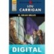 El gran brujo (2ª Ed.) Lou Carrigan