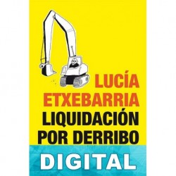 Liquidación por derribo Lucía Etxebarria