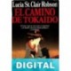 El camino de Tokaido Lucia St. Clair Robson