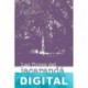 Las flores del jacarandá Luciano Piombo
