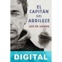 El capitán del Arriluze Luis de Lezama
