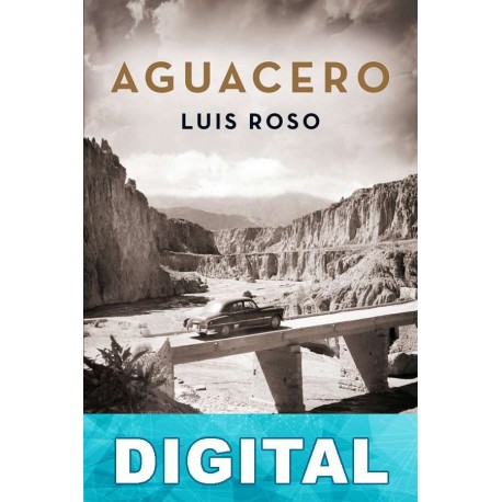 Aguacero Luis Roso