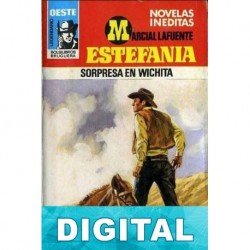 Sorpresa en Wichita M. L. Estefanía