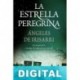 La estrella peregrina Ángeles de Irisarri