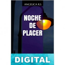 Noche de placer Angelica R. S.