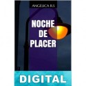 Noche de placer Angelica R. S.
