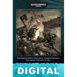 Quince horas Mitchel Scanlon