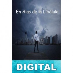 En alas de la libélula Montse Puchol