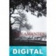 Los amantes del espejo Myriam Oliveras