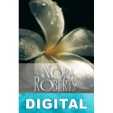 Embrujo Nora Roberts