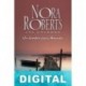 Un hombre para Amanda Nora Roberts