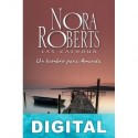 Un hombre para Amanda Nora Roberts