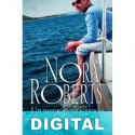 Un negocio arriesgado Nora Roberts
