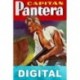 Piratas modernos P. V. Debrigode