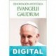 Evangelii Gaudium Papa Francisco
