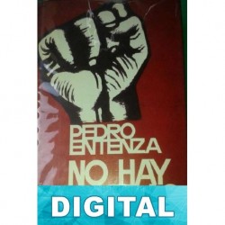 No hay aceras Pedro Entenza