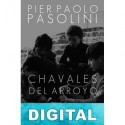 Chavales del arroyo Pier Paolo Pasolini