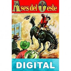 Un vaquero levantisco Raf Segrram
