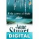 Frío como el hielo Anne Stuart