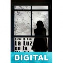 La luz en la niebla Rafael M. Sanz