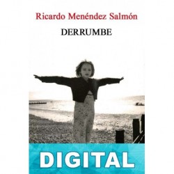 Derrumbe Ricardo Menéndez Salmón