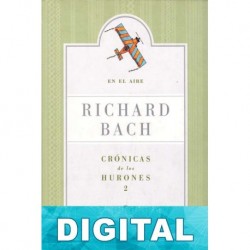 En el aire Richard Bach