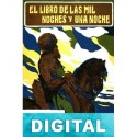 El libro de las mil noches y una noche. Tomo XIII Anónimo