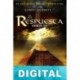 La respuesta Robert Doherty