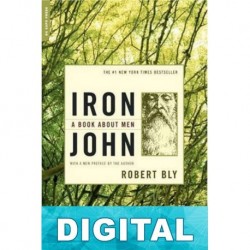 Iron John Robert W. Bly