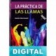 La práctica de las llamas Saint Germain