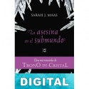 La asesina en el submundo Sarah J. Maas