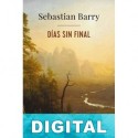 Días sin final Sebastian Barry