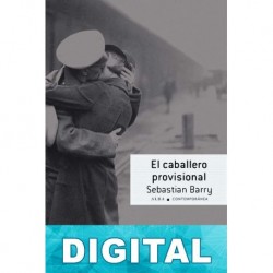 El caballero provisional Sebastian Barry