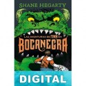 Bocanegra Shane Hegarty