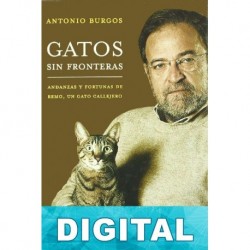 Gatos sin fronteras Antonio Burgos