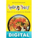 Robo en las cataratas del Nia?gara Sir Steve Stevenson